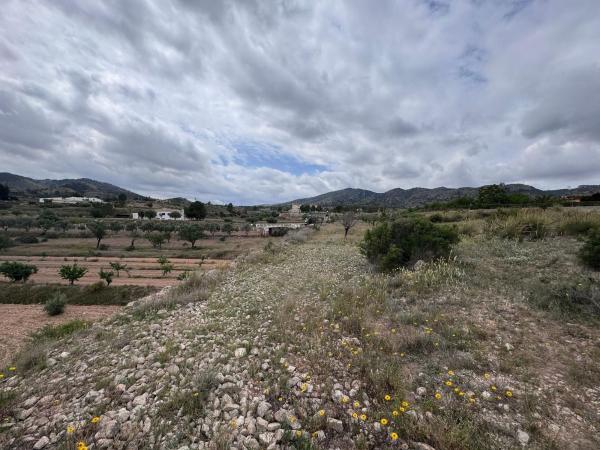 Terreno en suporaki, 3, Campo Alto, Elda thumbnail 3