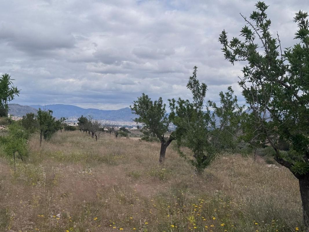 Terreno en venta en Elda, Alicante photo 5
