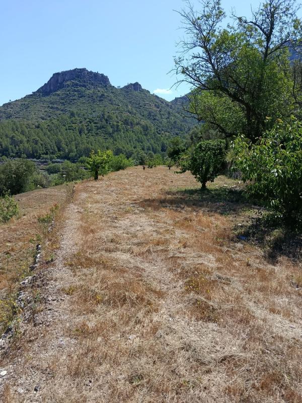 Terreno en venta en Vall de Gallinera, Alicante photo 2