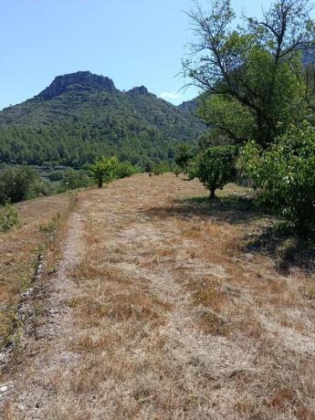 Terreno en Camino Olivaret, 9 124, Vall de Gallinera thumbnail 2