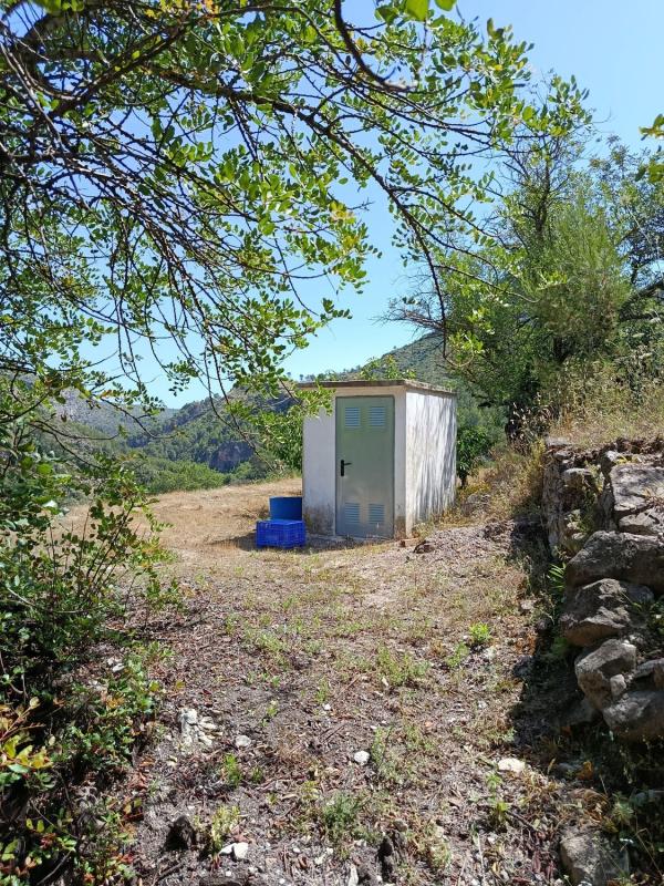 Terreno en venta en Vall de Gallinera, Alicante photo 3