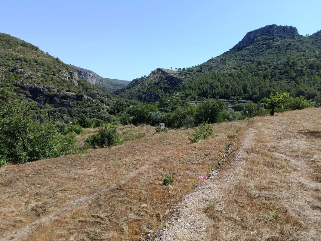 Terreno en venta en Vall de Gallinera, Alicante photo 4