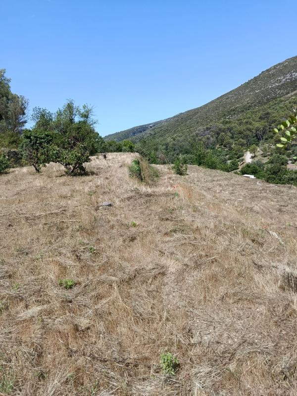 Terreno en venta en Vall de Gallinera, Alicante photo 5
