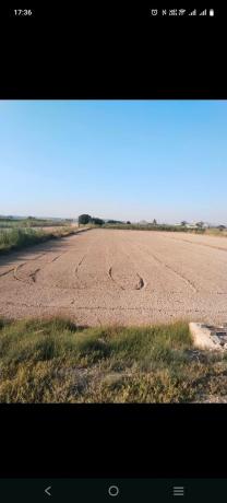 Terreno en Carretera Guardamar la marina s/n, Formentera del Segura photo 1