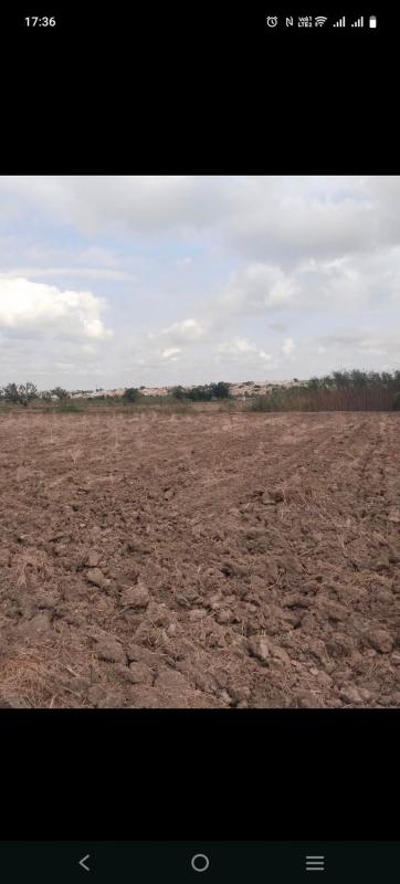 Terreno en venta en Formentera del Segura, Alicante photo 5