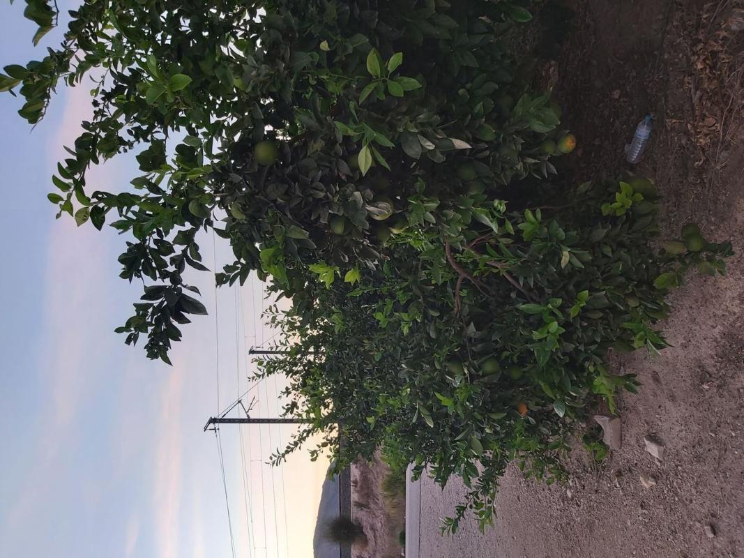 Terreno en venta en Orihuela, Alicante photo 2