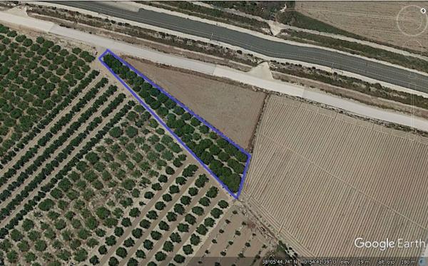 Terreno en Calle media legua s/n, Molins-Campaneta-San Bartolomé, Orihuela thumbnail 3