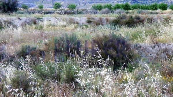 Terreno en Carolinas Altas, Alicante / Alacant thumbnail 3
