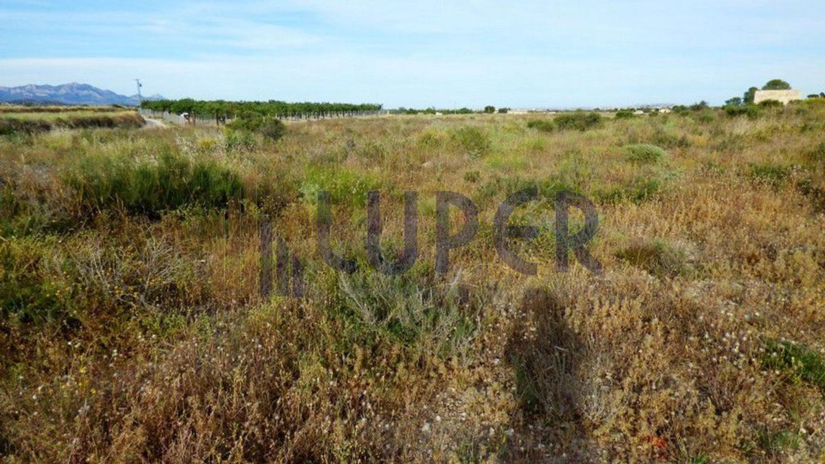 Terreno en venta en Alicante / Alacant, Alicante photo 4