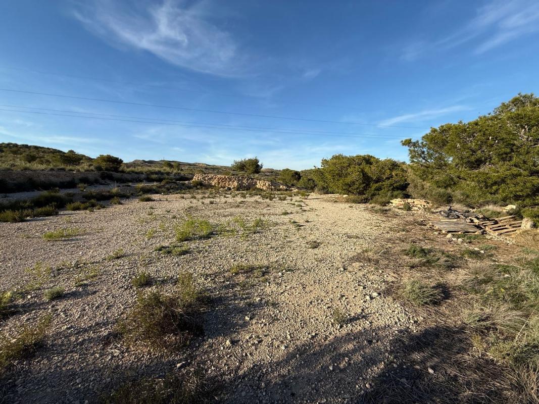 Terreno en venta en Elche / Elx, Alicante photo 1
