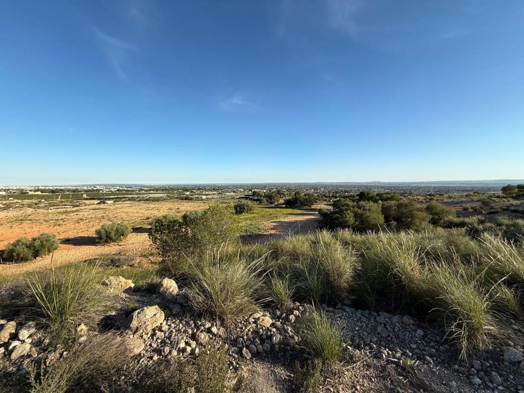Terreno en venta en Elche / Elx, Alicante photo 3