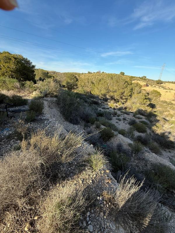 Terreno en venta en Elche / Elx, Alicante photo 4