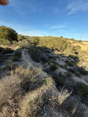 Terreno en Peña las Aguilas s/n, Peña de Las Águilas, Elche / Elx photo 4