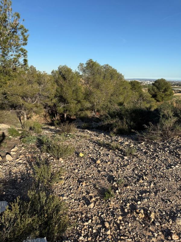 Terreno en venta en Elche / Elx, Alicante photo 5