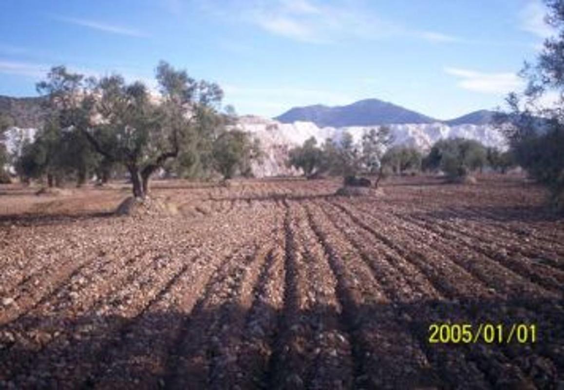 Terreno en venta en Algueña, Alicante photo 1