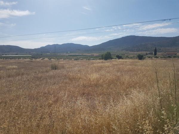 Terreno en Cv-845, 10, Hondón de los Frailes thumbnail 2