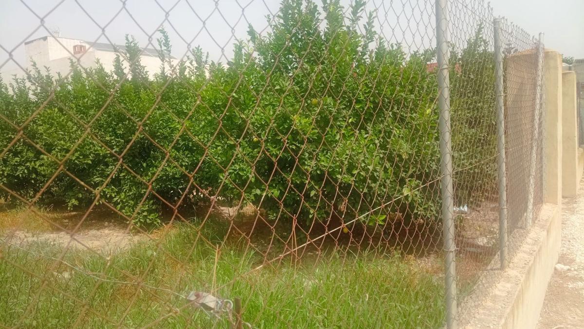 Terreno en venta en Orihuela, Alicante photo 1