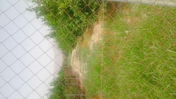 Terreno en Vereda los caselles, 1, Desamparados-Hurchillo-Torremendo, Orihuela thumbnail 3