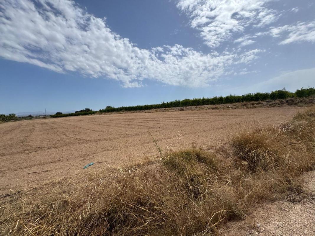 Terreno en venta en Elche / Elx, Alicante photo 2