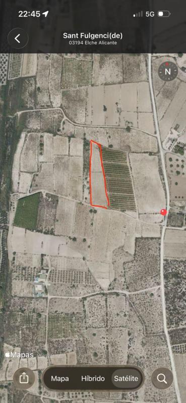 Terreno en venta en Elche / Elx, Alicante photo 4