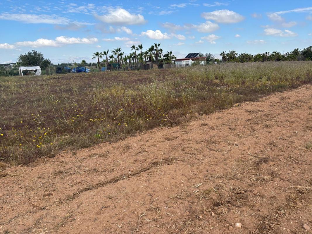 Terreno en venta en Elche / Elx, Alicante photo 5