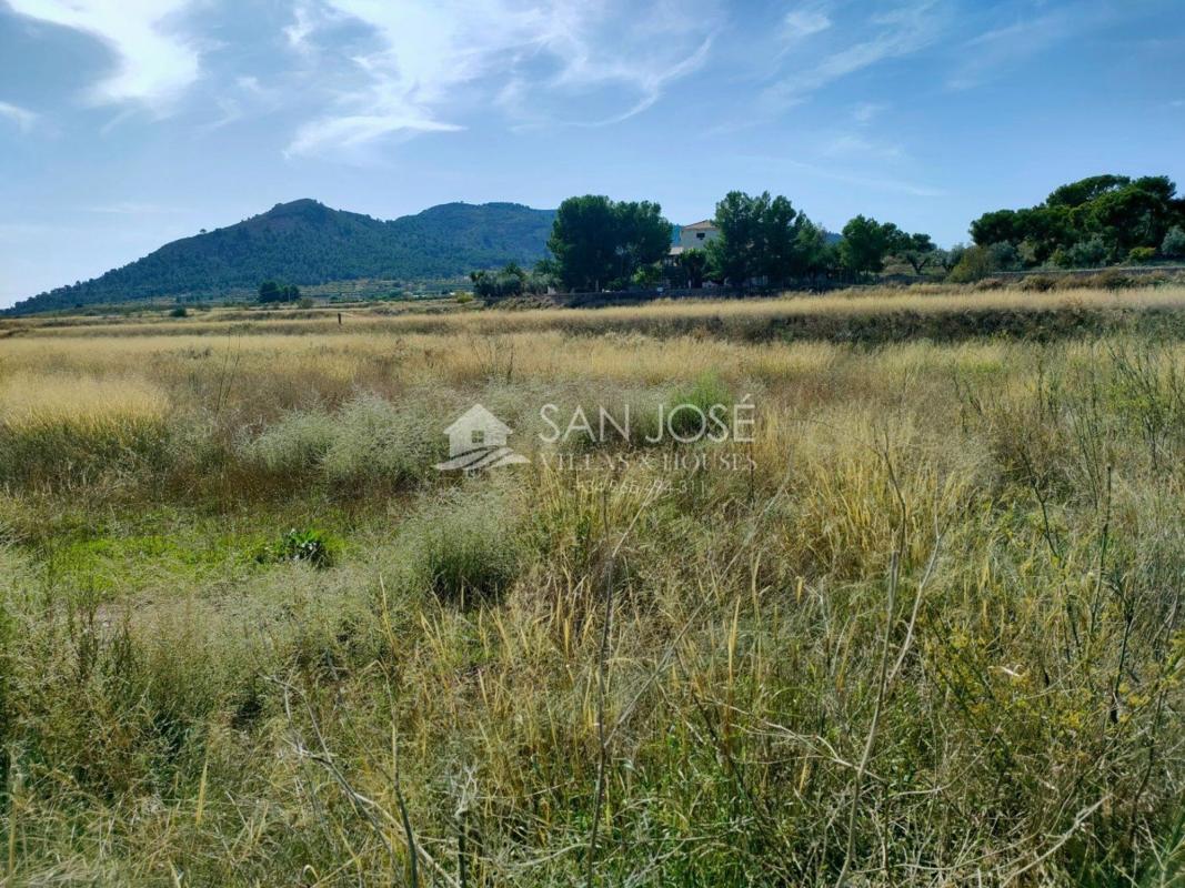 Участок земли на продажу в Ла Романа, Аликанте photo 3