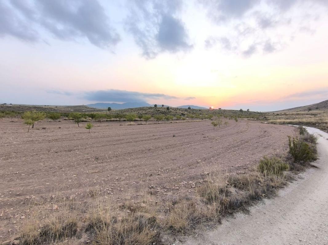 Działka na sprzedaż w Pinoso, Alicante photo 2