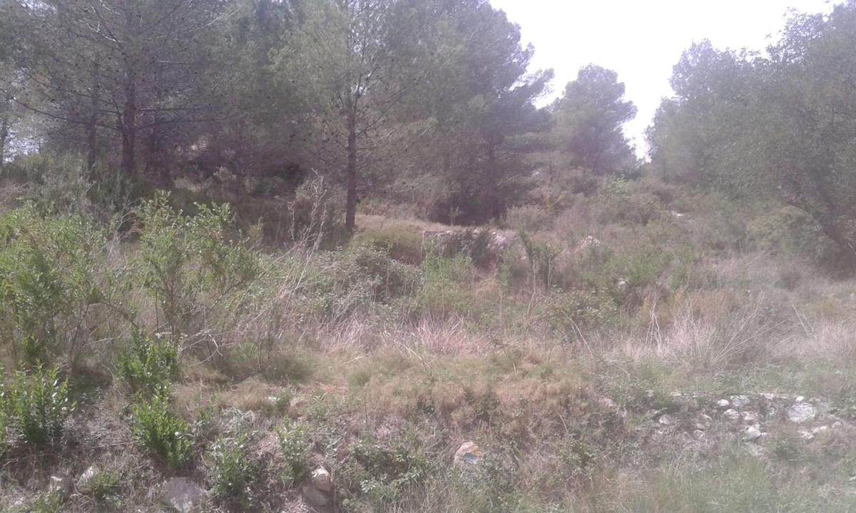 Terreno en venta en Beniarda, Alicante photo 2