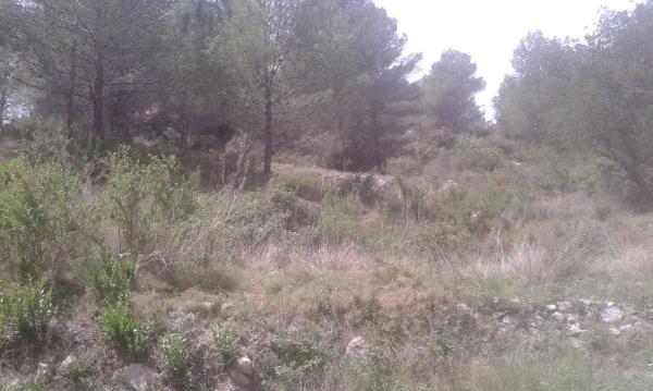 Terreno en Camino partida del fondo s/n, Beniarda thumbnail 2