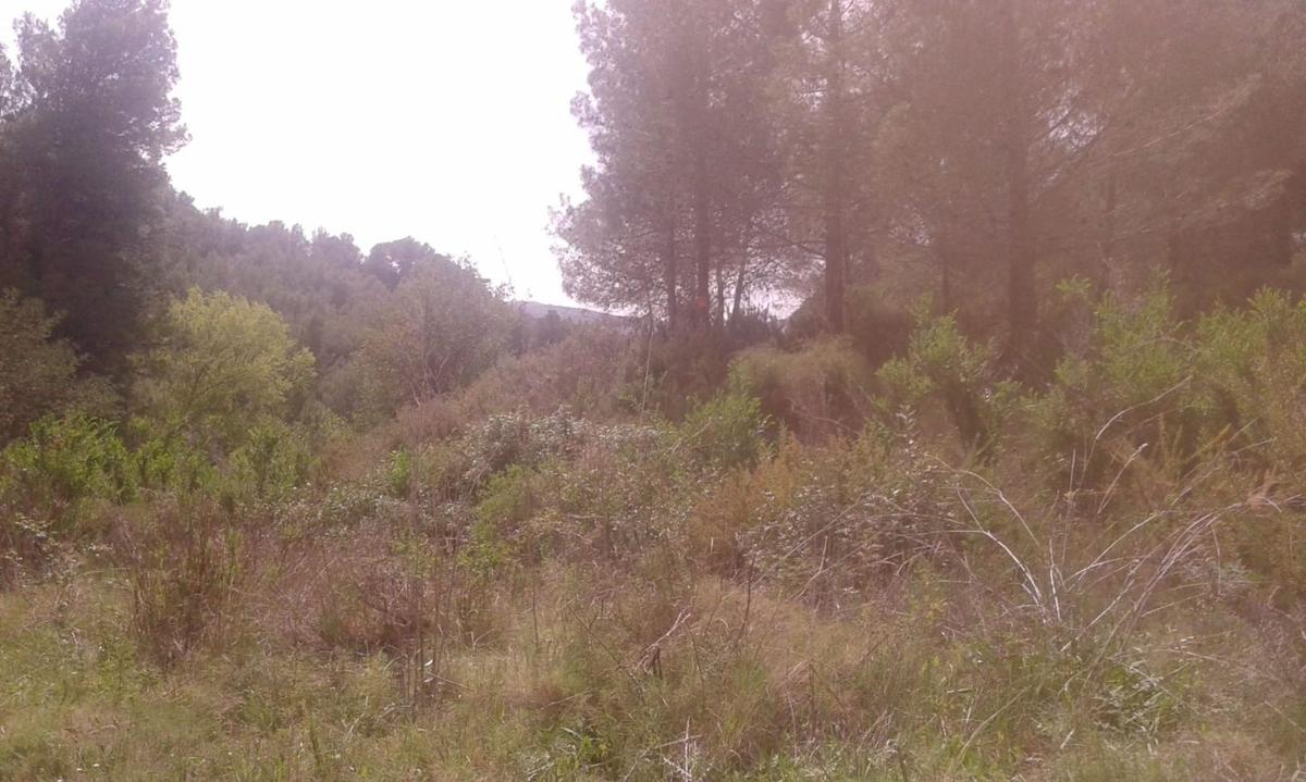 Terreno en venta en Beniarda, Alicante photo 4