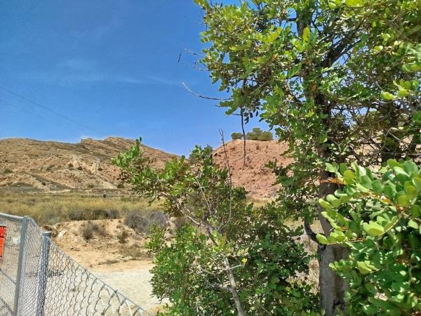Terreno en Camino del Sarnatxo, km 5, Moralet thumbnail 2