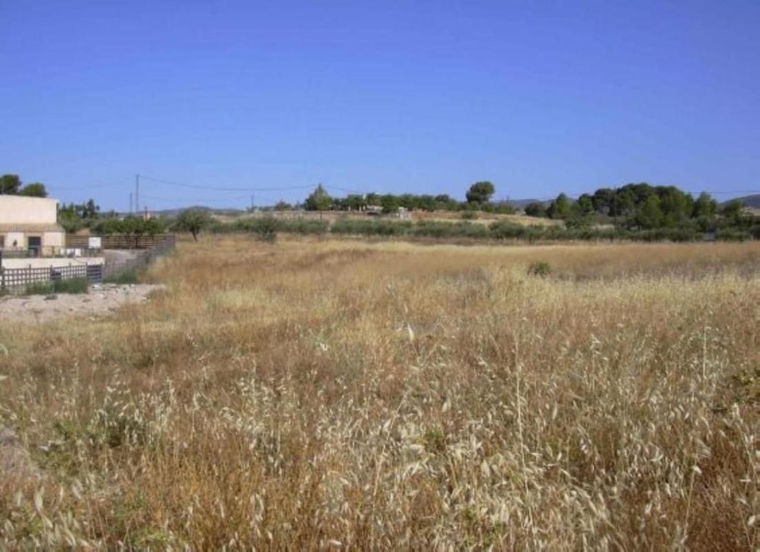 Land for sale in Ibi, Alicante photo 3