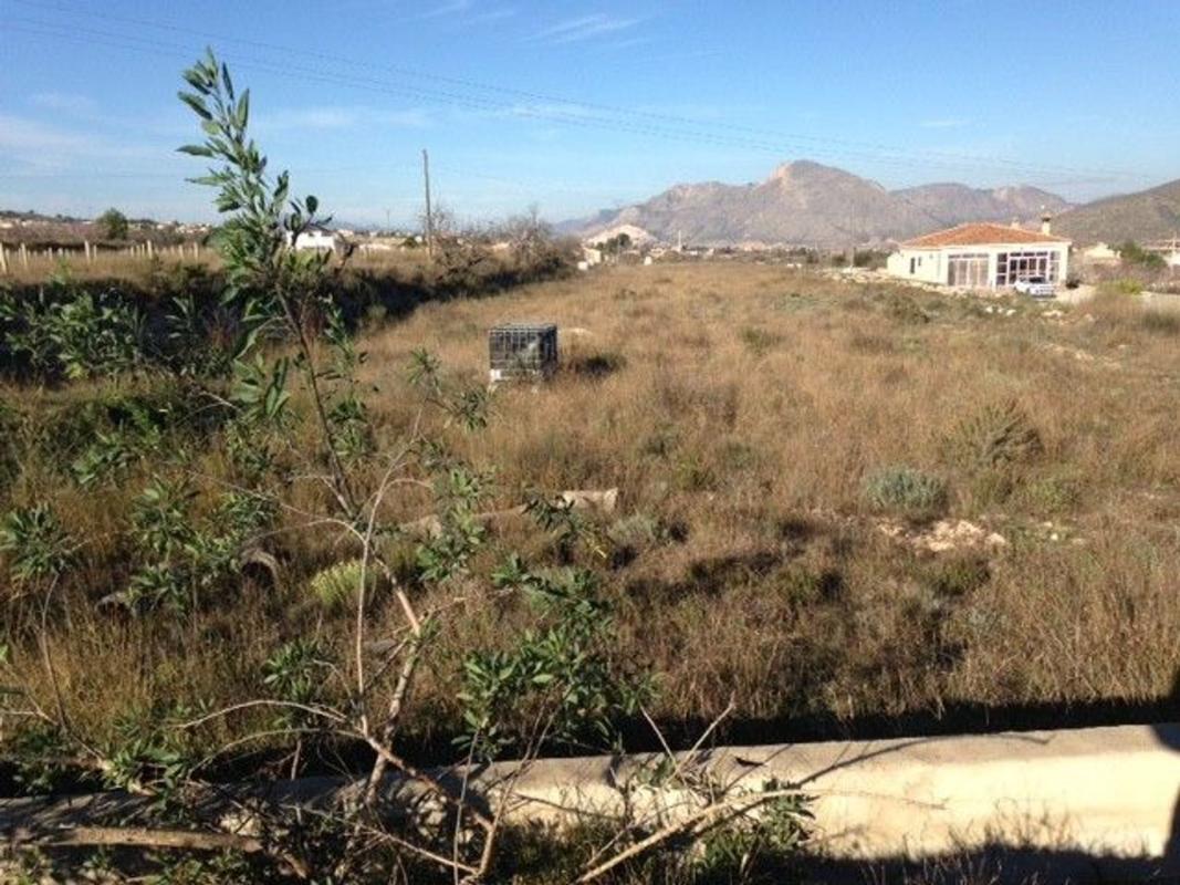 Terreno en venta en Hondón de los Frailes, Alicante photo 5
