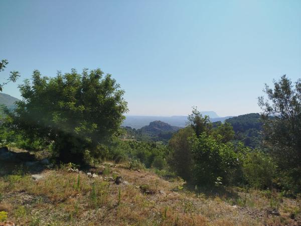 Terreno en Polígono 4, 74 Parcela, Vall de Laguart thumbnail 2