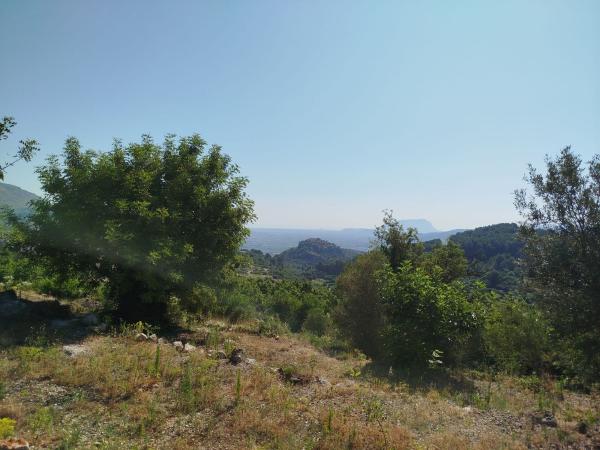Terreno en Polígono 4, 74 Parcela, Vall de Laguart thumbnail 3