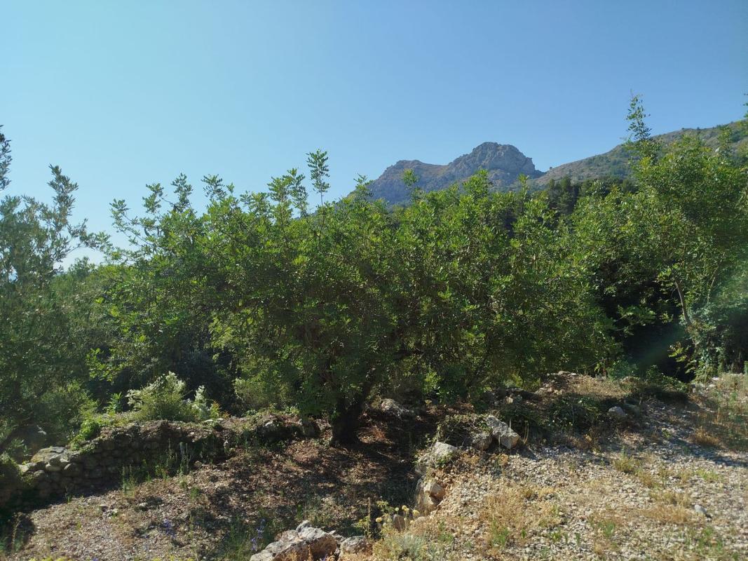 Участок земли на продажу в Валле де Лагуарт, Аликанте photo 5