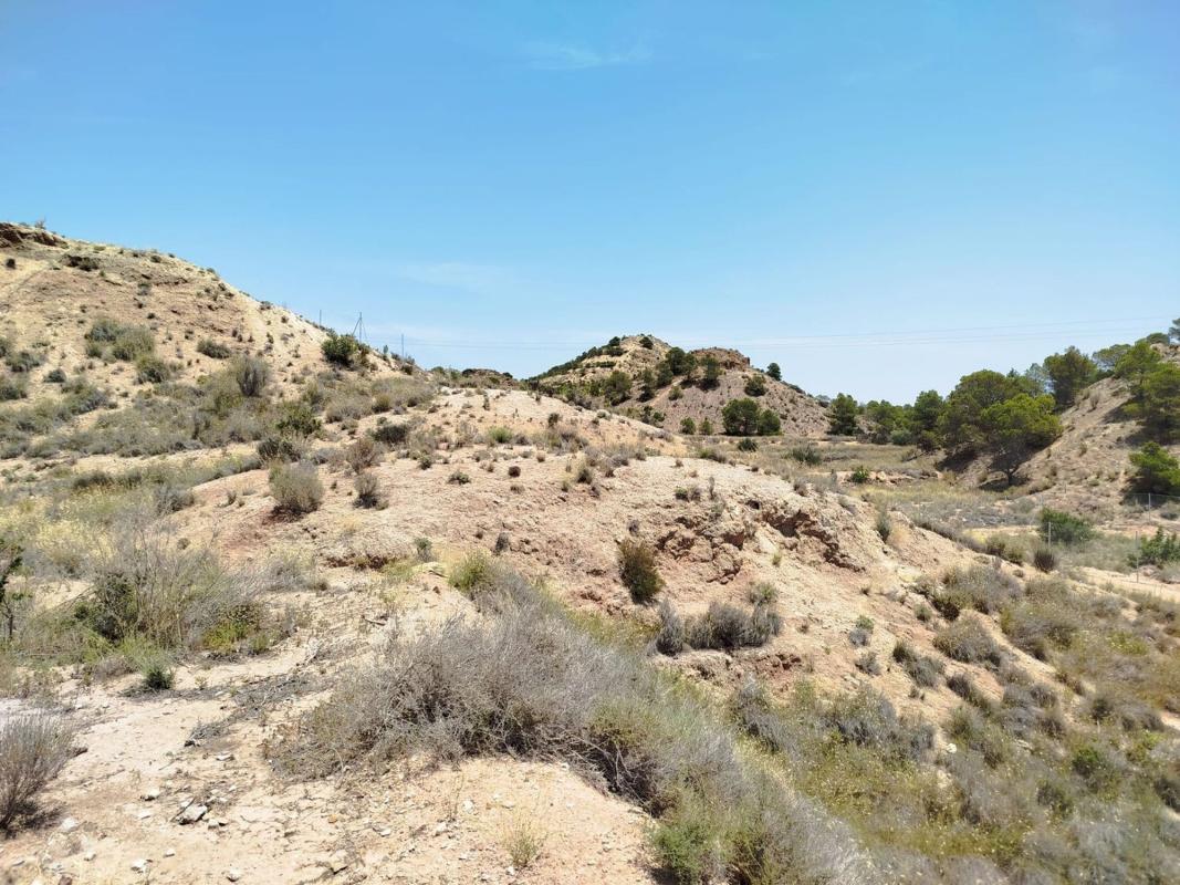 Land for sale in Moralet, Alicante photo 2