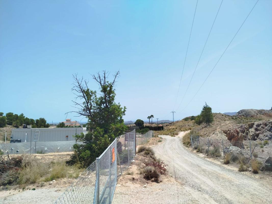 Land for sale in Moralet, Alicante photo 3
