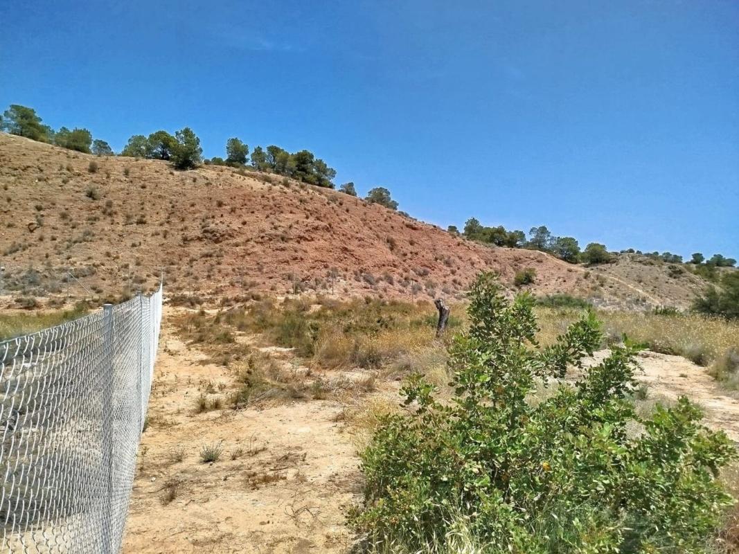 Land for sale in Moralet, Alicante photo 4
