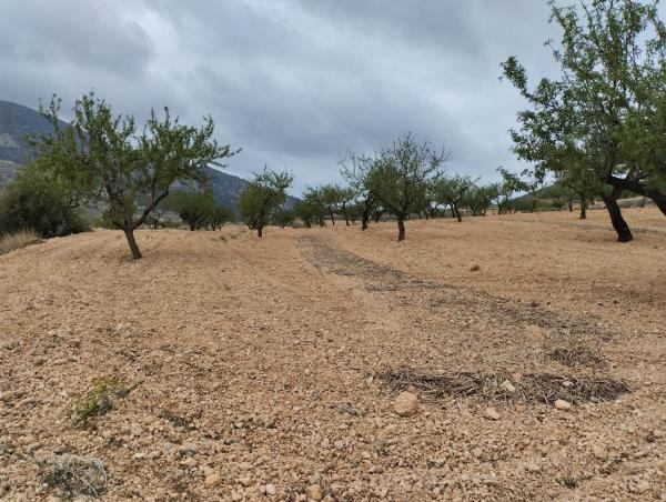 Terreno en solana alta, 7, La Romana photo 3