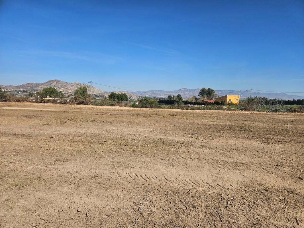 Land for sale in Aspe, Alicante photo 2