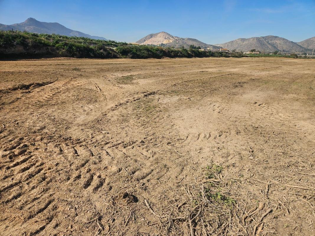 Land for sale in Aspe, Alicante photo 3