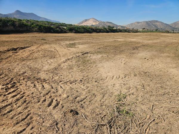 Terreno en Camino Tolomó Bajo, 126, Pedanías Oeste, Aspe photo 3