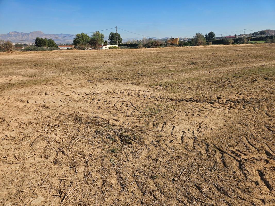 Land for sale in Aspe, Alicante photo 4