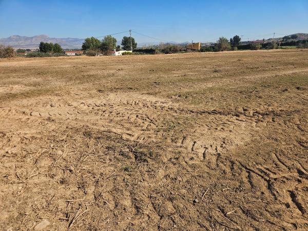 Terreno en Camino Tolomó Bajo, 126, Pedanías Oeste, Aspe photo 4