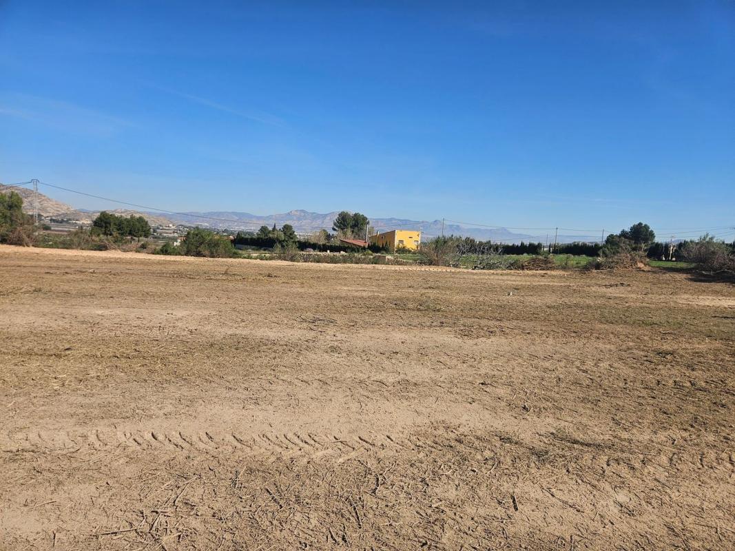 Land for sale in Aspe, Alicante photo 5