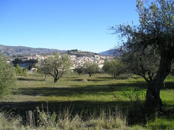 Terreno en Benilloba photo 2
