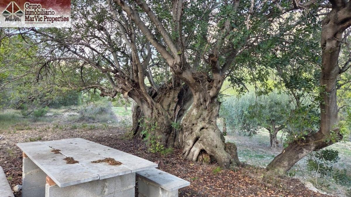 Działka na sprzedaż w Benifato, Alicante photo 1
