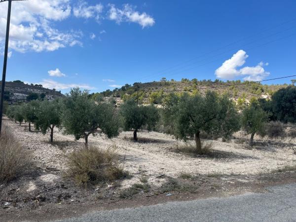 Terreno en Partida els Cotxinets, 27, Petrer photo 2
