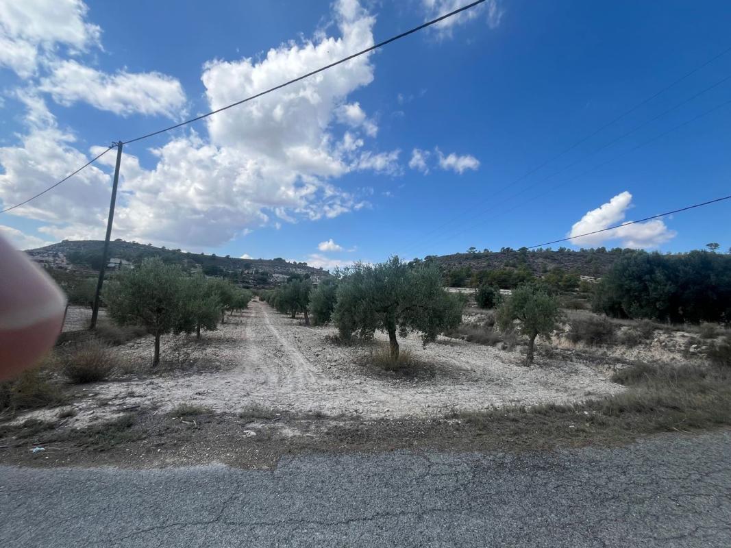Terreno en venta en Petrer, Alicante photo 3